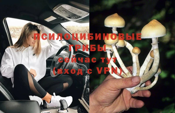 винт Михайловка
