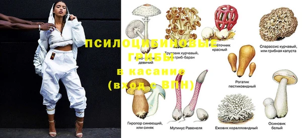 экстази Мегион